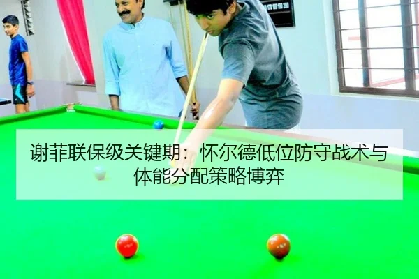 xie-fei-lian-bao-ji-guan-jian-qi-huai-er-de-di-wei-fang-shou-zhan-shu-yu-ti-neng-fen-pei-ce-lve-bo-yi-3-850.jpg