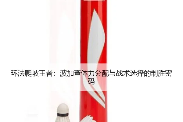 环法爬坡王者：波加查体力分配与战术选择的制胜密码