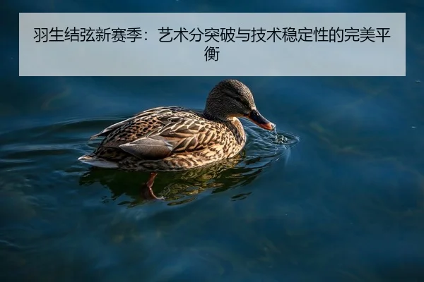 羽生结弦新赛季：艺术分突破与技术稳定性的完美平衡