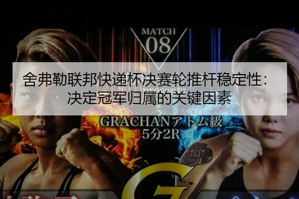 she-fu-lei-lian-bang-kuai-di-bei-jue-sai-lun-tui-gan-wen-ding-xing-jue-ding-guan-jun-gui-shu-de-guan-jian-yin-su-3-806.jpg